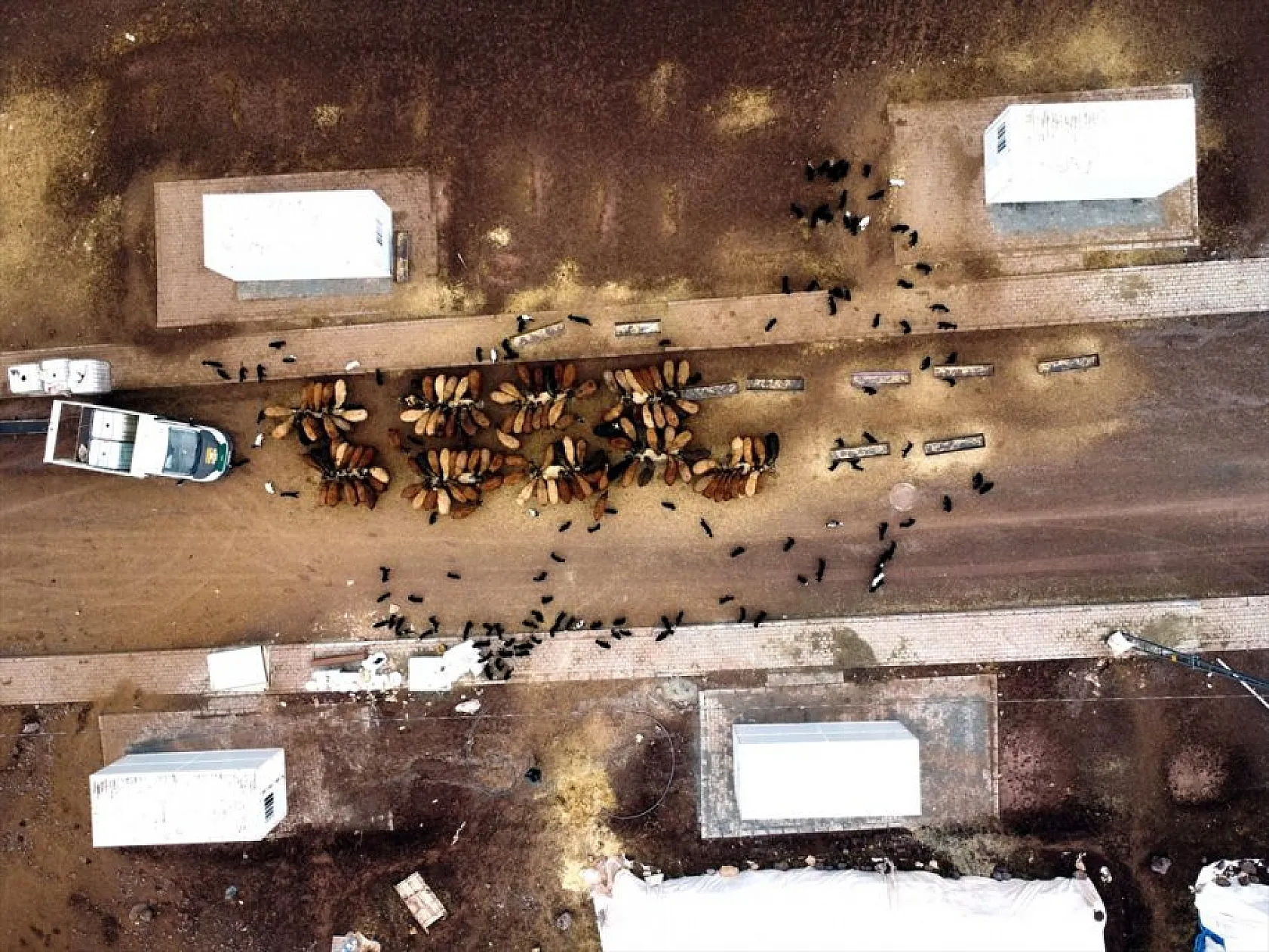 Onlarca yıllık çadır çilesi biten göçerler konteynerlere yerleşiyor