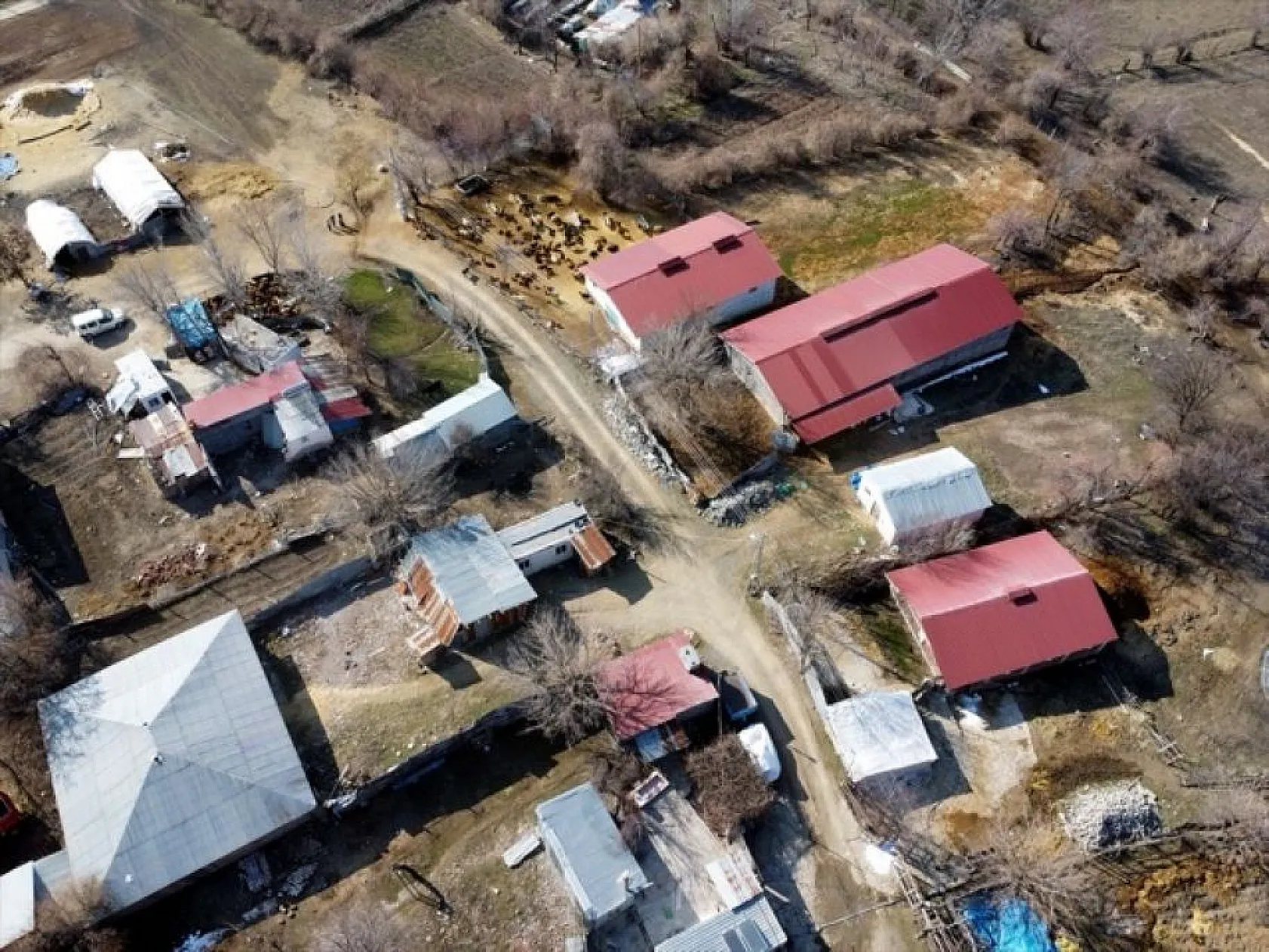 Devlet desteğiyle eski hükümlü besiciliğe döndü