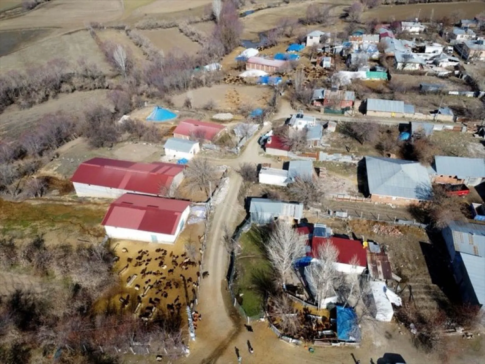 Devlet desteğiyle eski hükümlü besiciliğe döndü