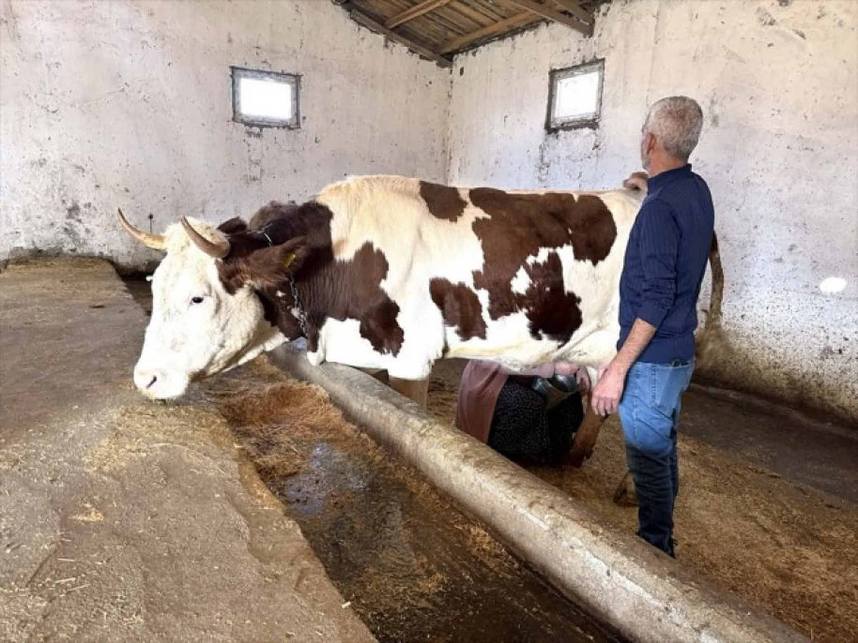 Devlet desteğiyle eski hükümlü besiciliğe döndü