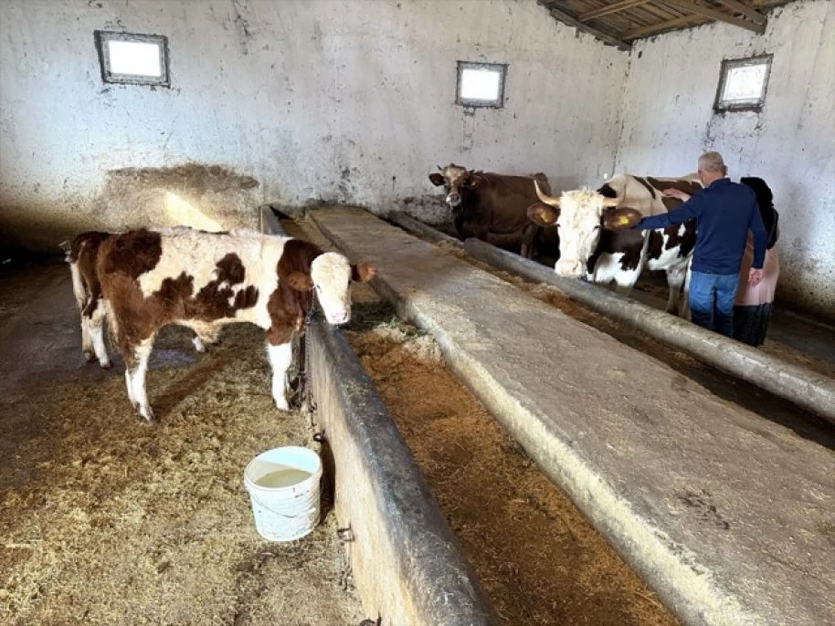 Devlet desteğiyle eski hükümlü besiciliğe döndü