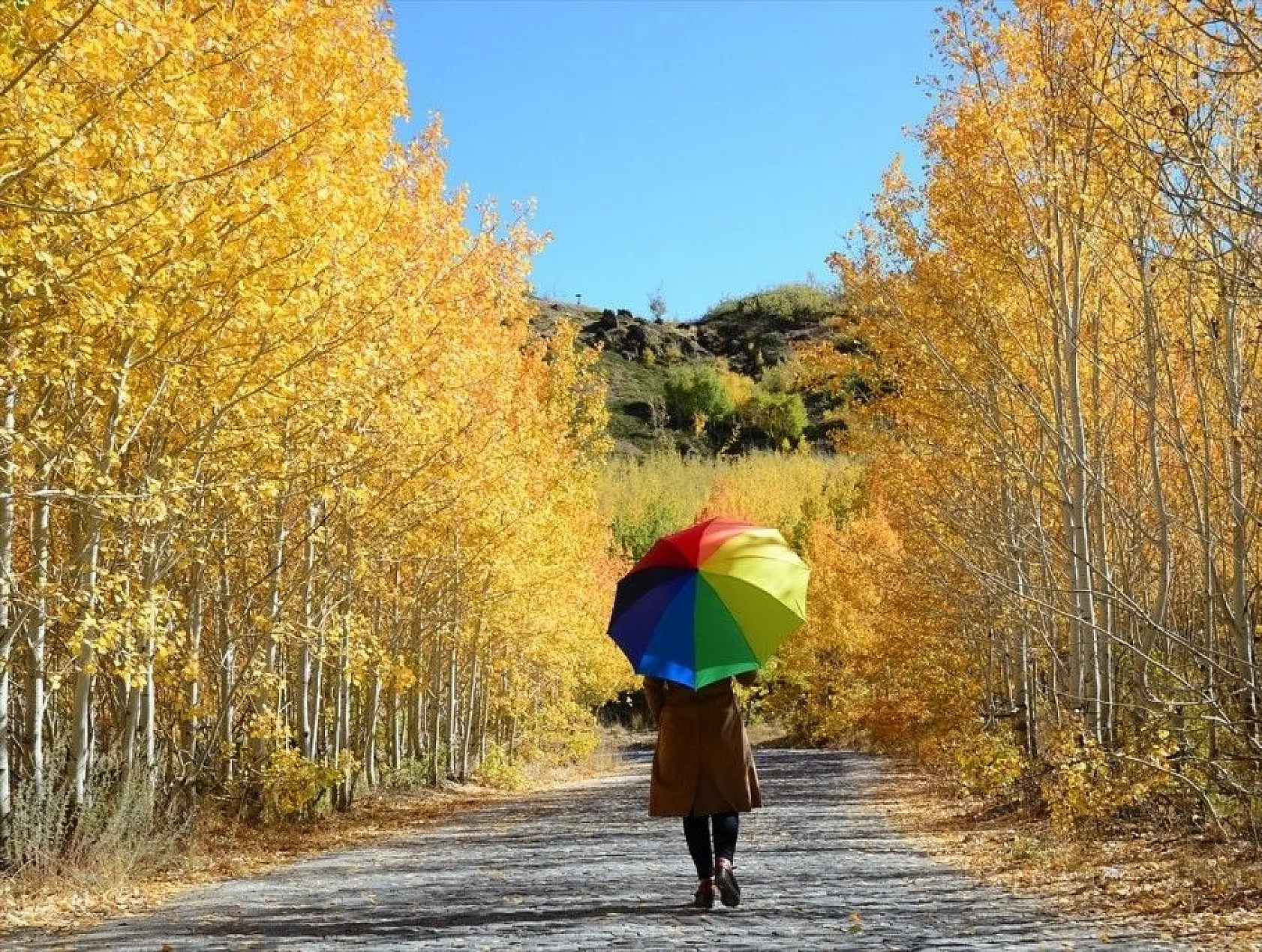 Nemrut Krater Gölü sonbahar renkleriyle büyülüyor
