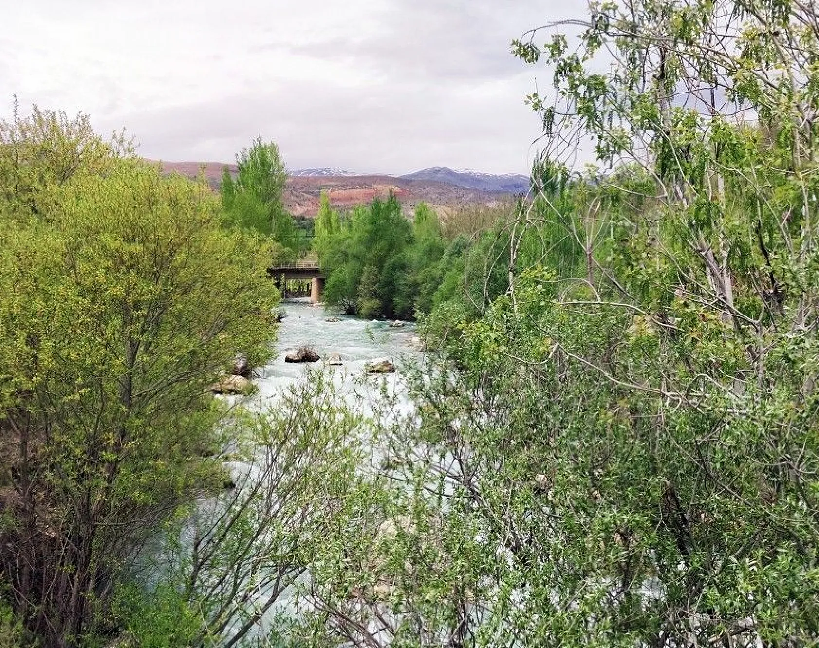 Doğal yaşamı ile dikkat çeken ilçe baharla renklendi