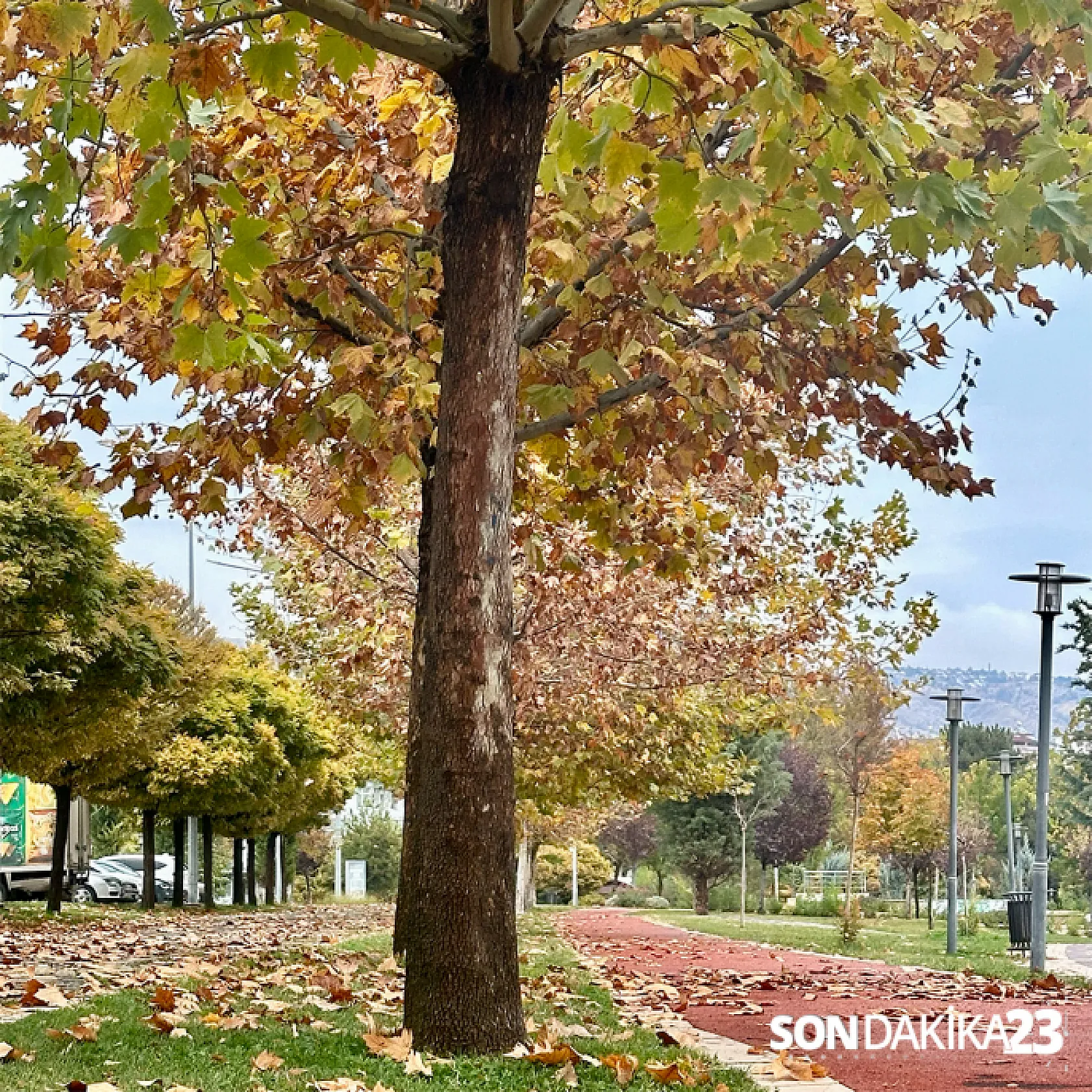 Elazığ'da son bahar