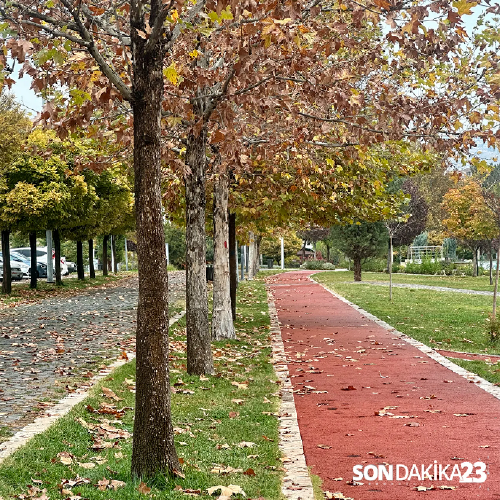 Elazığ'da son bahar