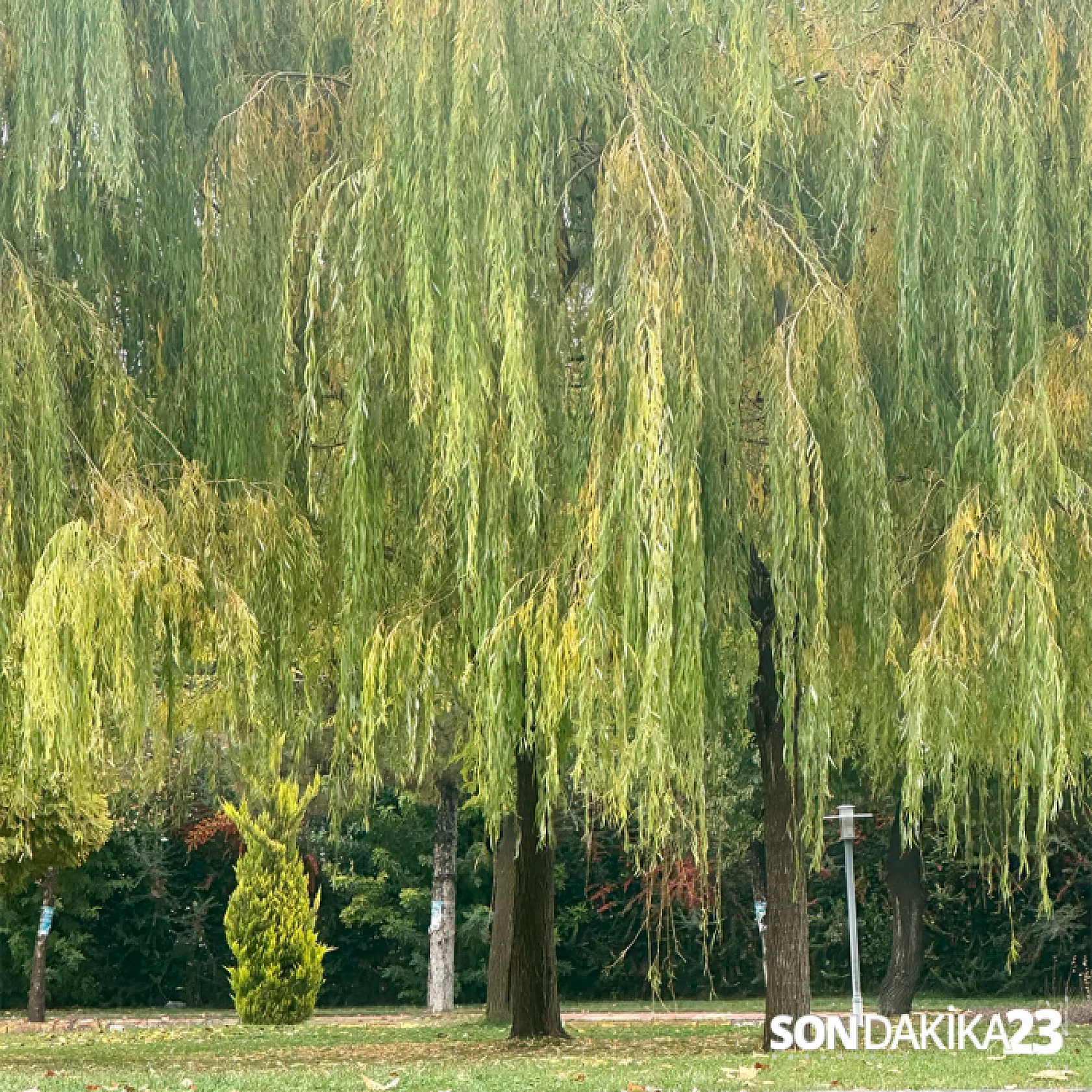 Elazığ'da son bahar