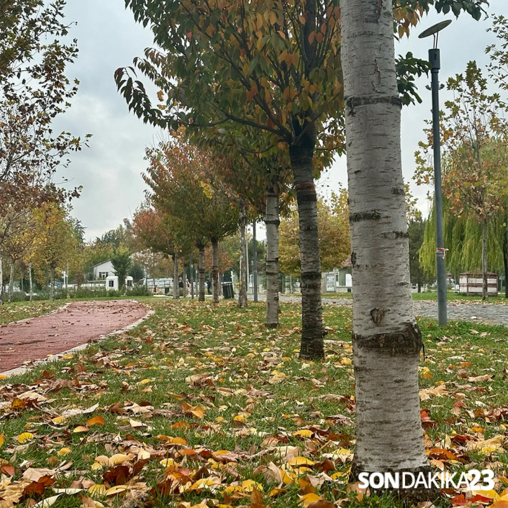 Elazığ'da son bahar