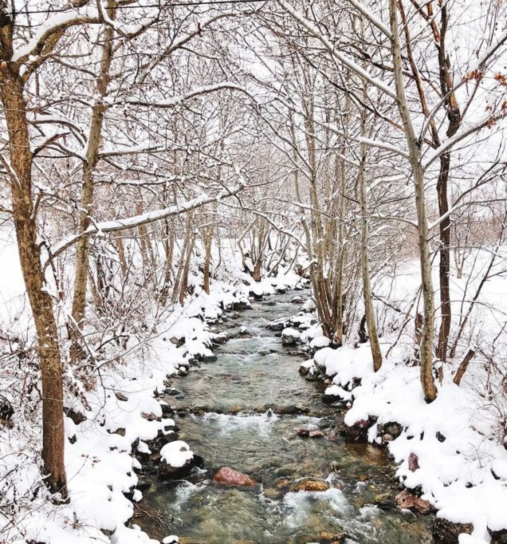 Mirvan Çayı, dört mevsim farklı güzelliğiyle göz kamaştırıyor