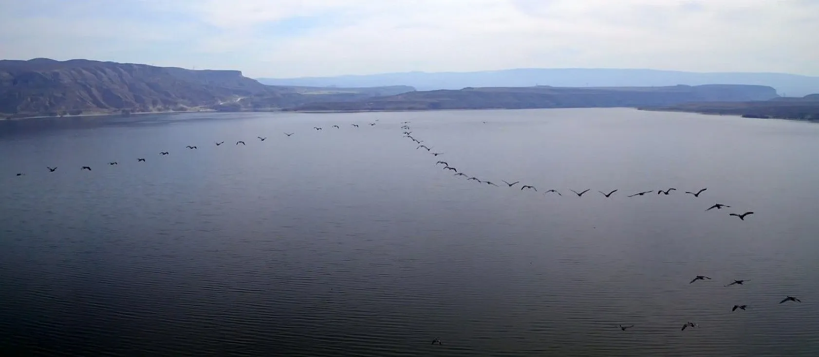 Kuş cennetinden eşsiz görüntüler