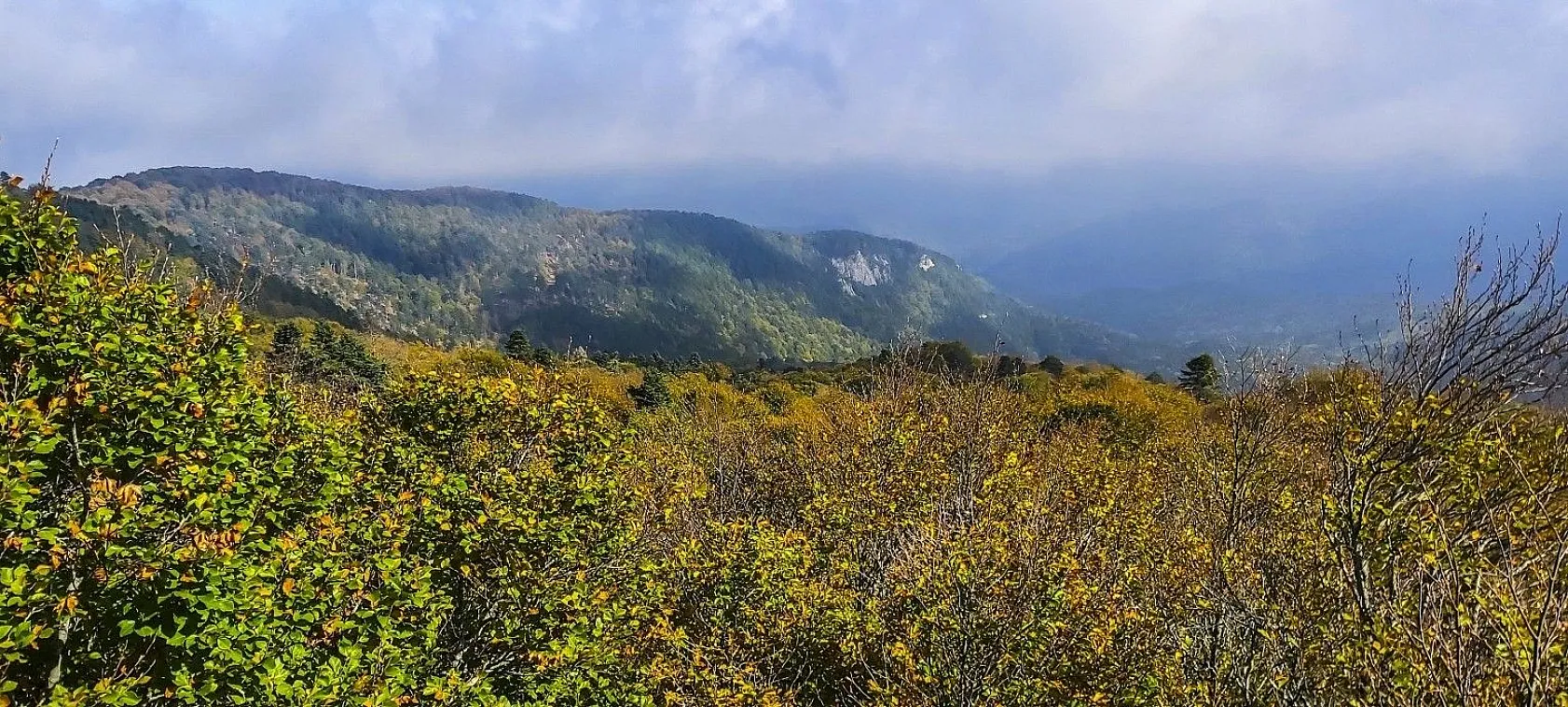 Kazdağları'nın sonbahar renkleri büyülüyor