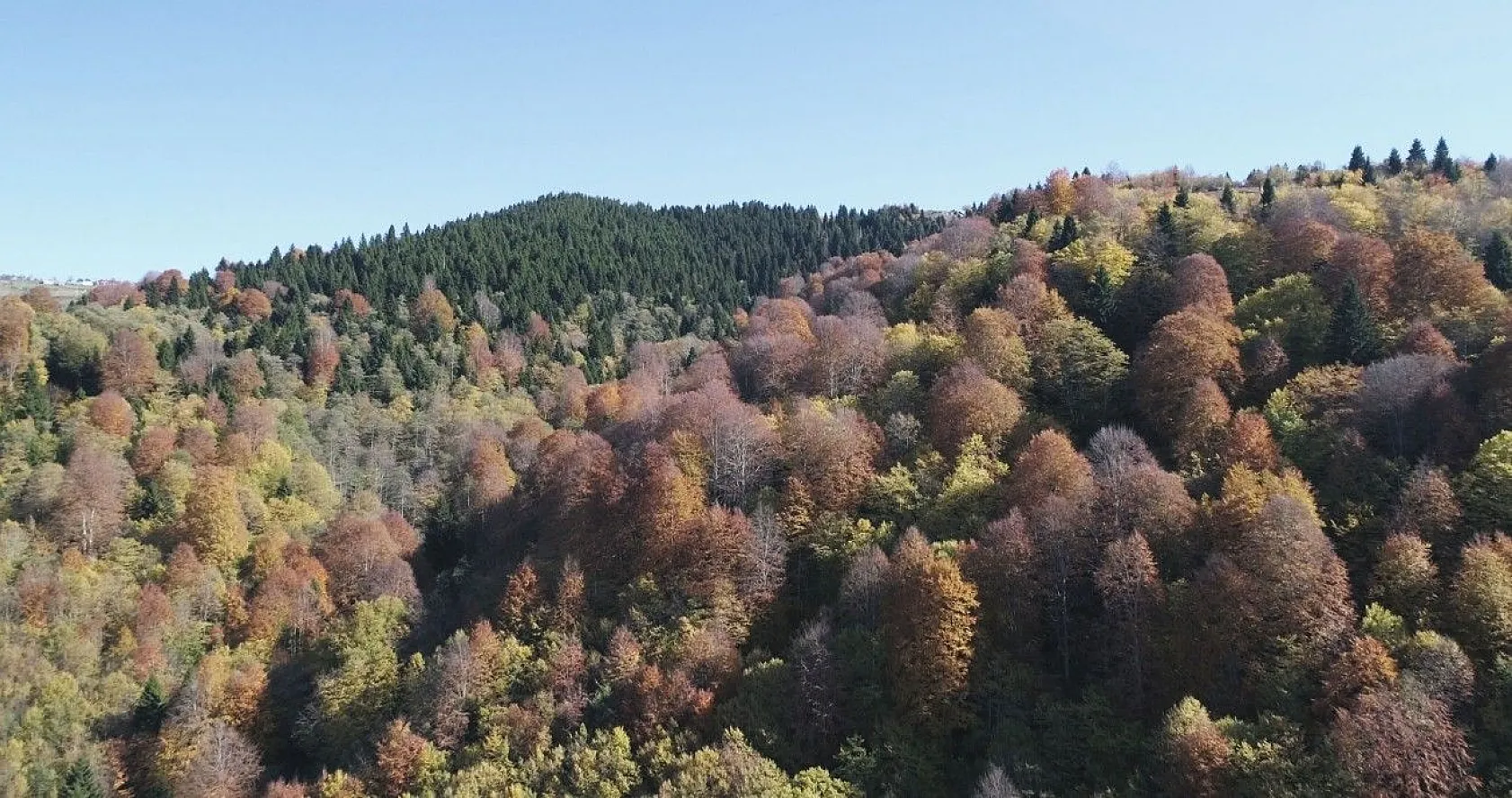 Karadeniz yaylalarında sonbahar