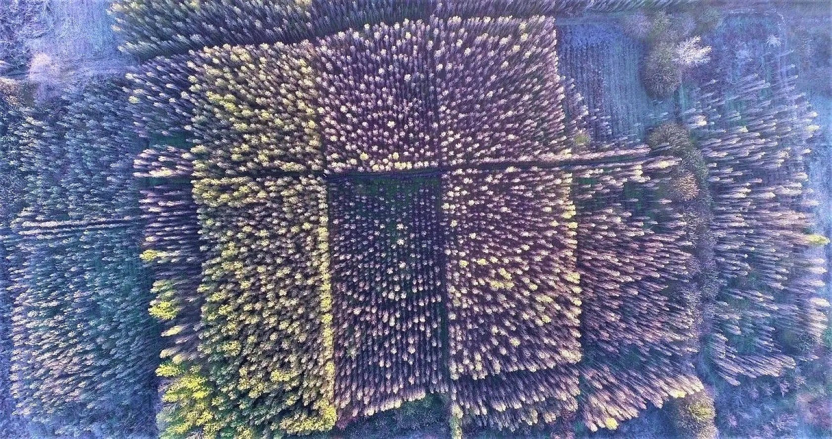 Diyarbakır'da sonbahar güzellikleri