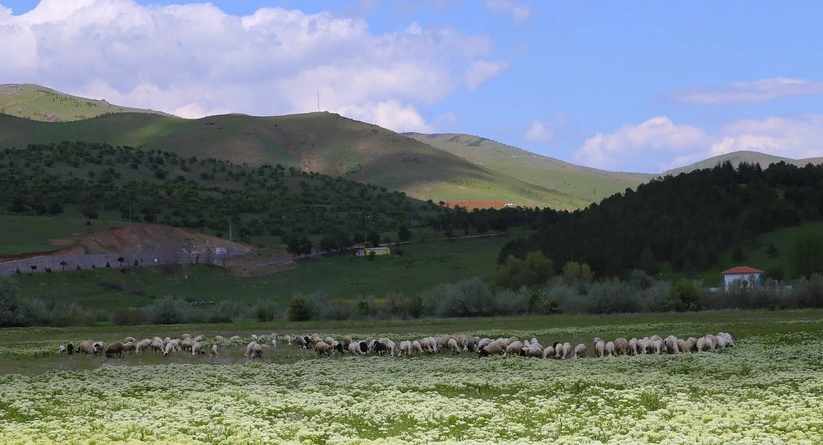 Son zamanlarda çekilen kartpostallık muhteşem Elazığ fotoğrafları...