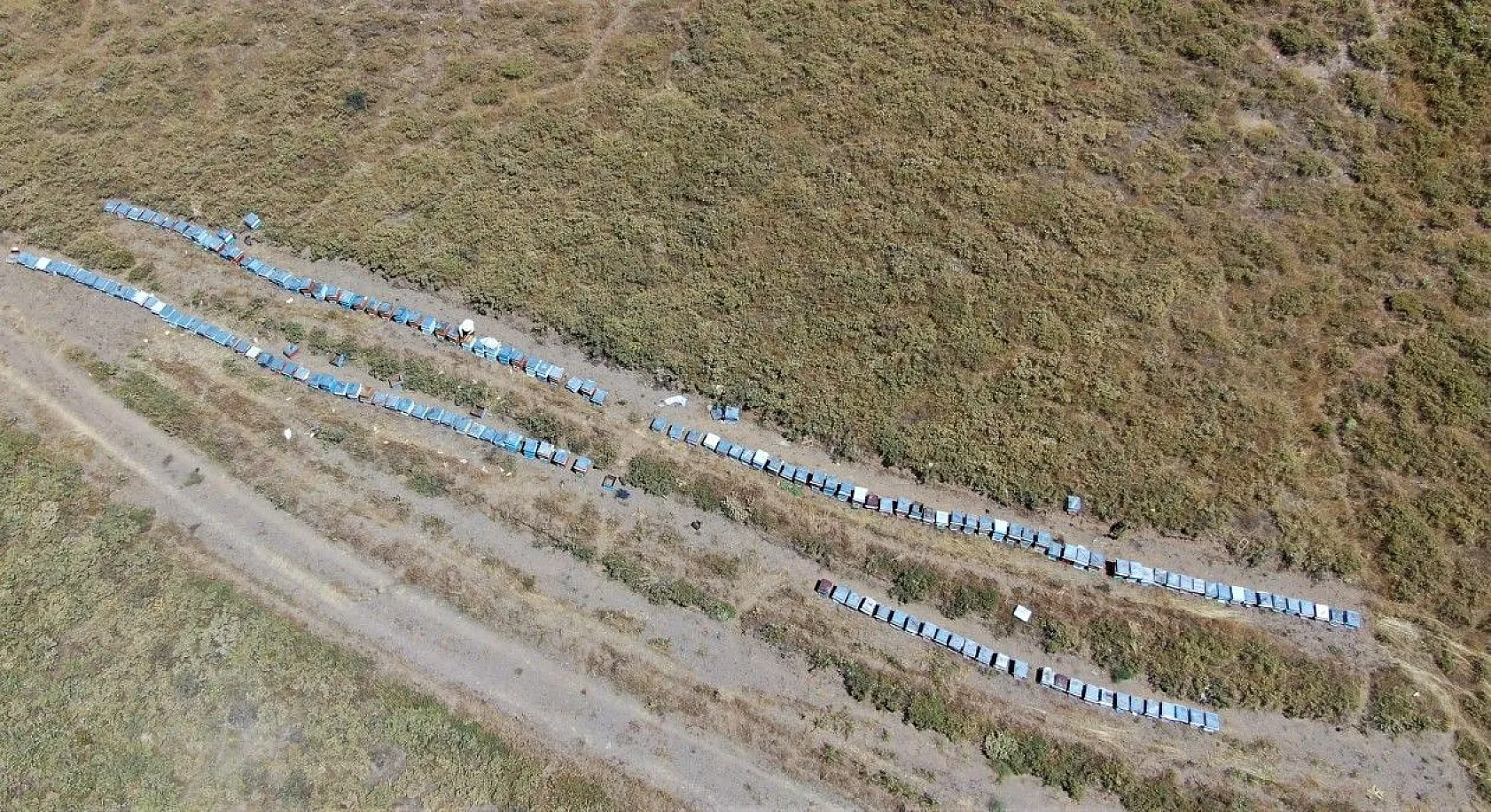 Tescilli 'geven' balının hasadı başladı