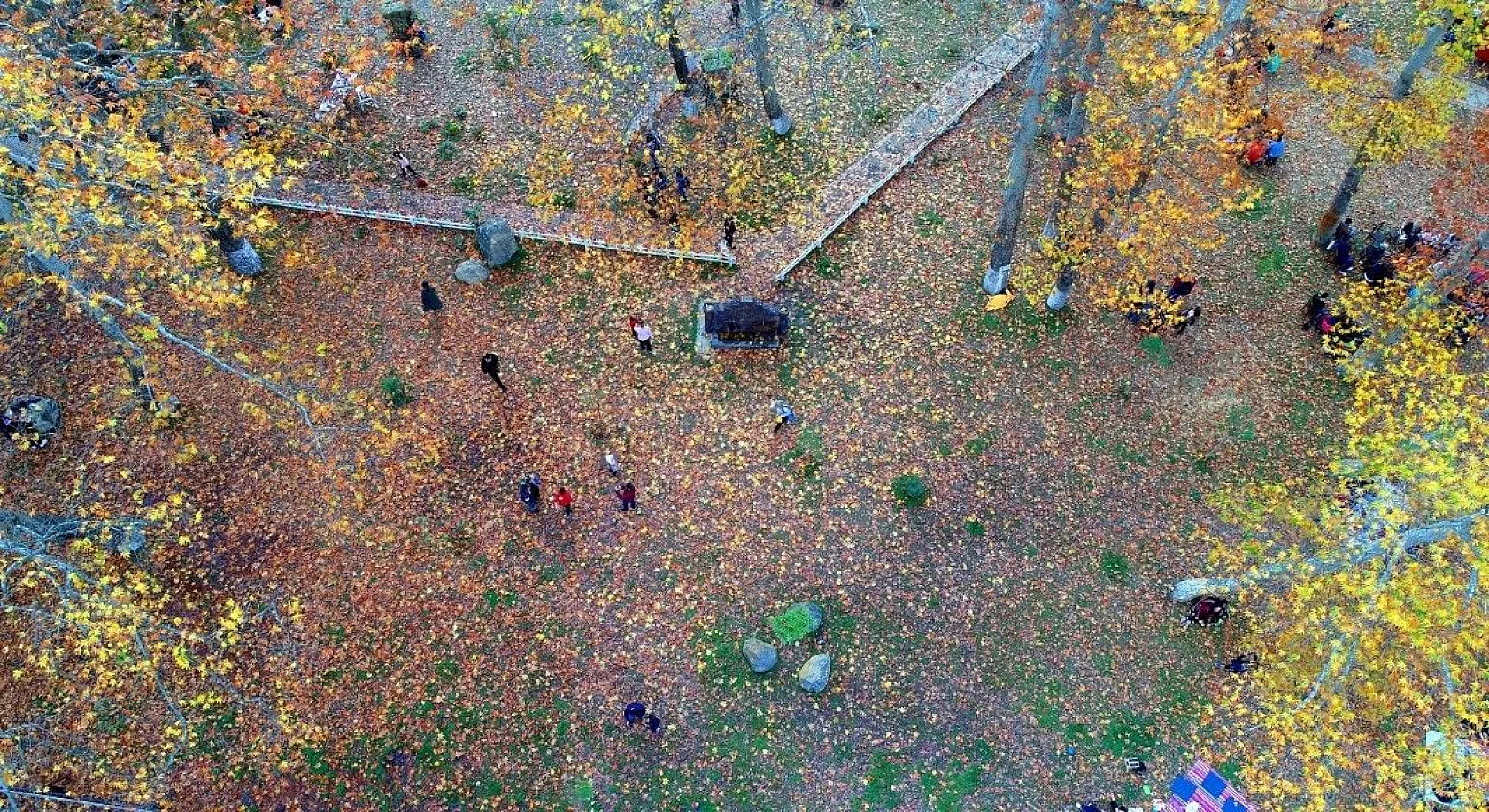 Belemedik, sonbaharda renk cümbüşüne büründü