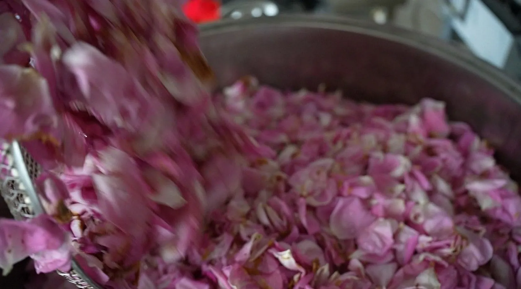 Isparta gülünden 'gül toniği'