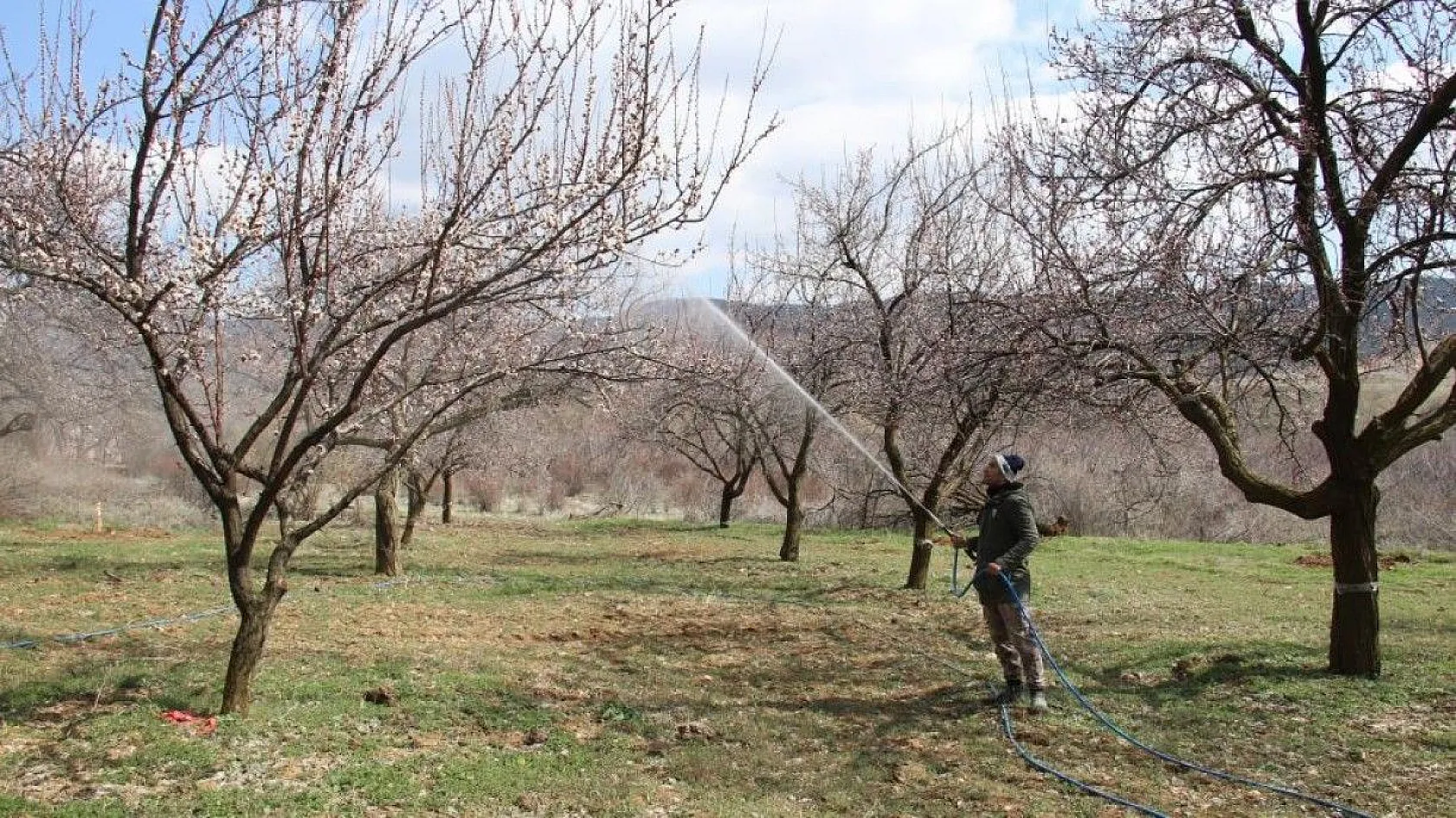 Ağaçlar beyaz gelinliği giydi