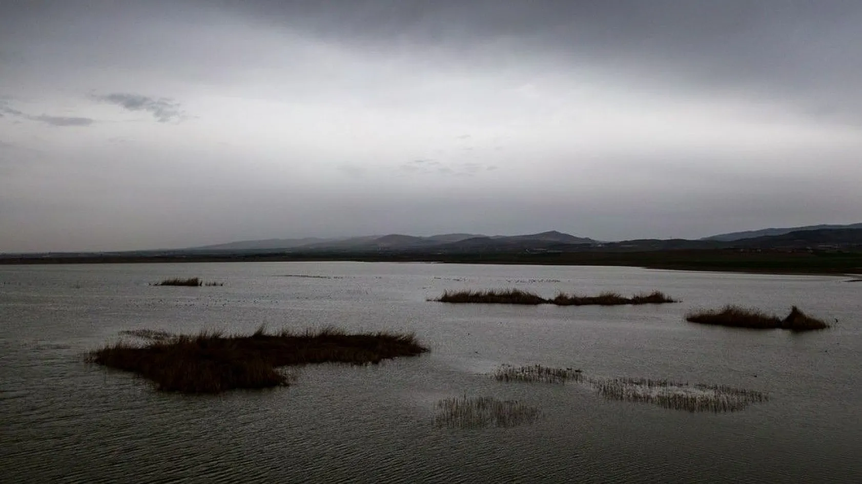 Flamingolar Başkent göletlerindeki yerlerini aldı