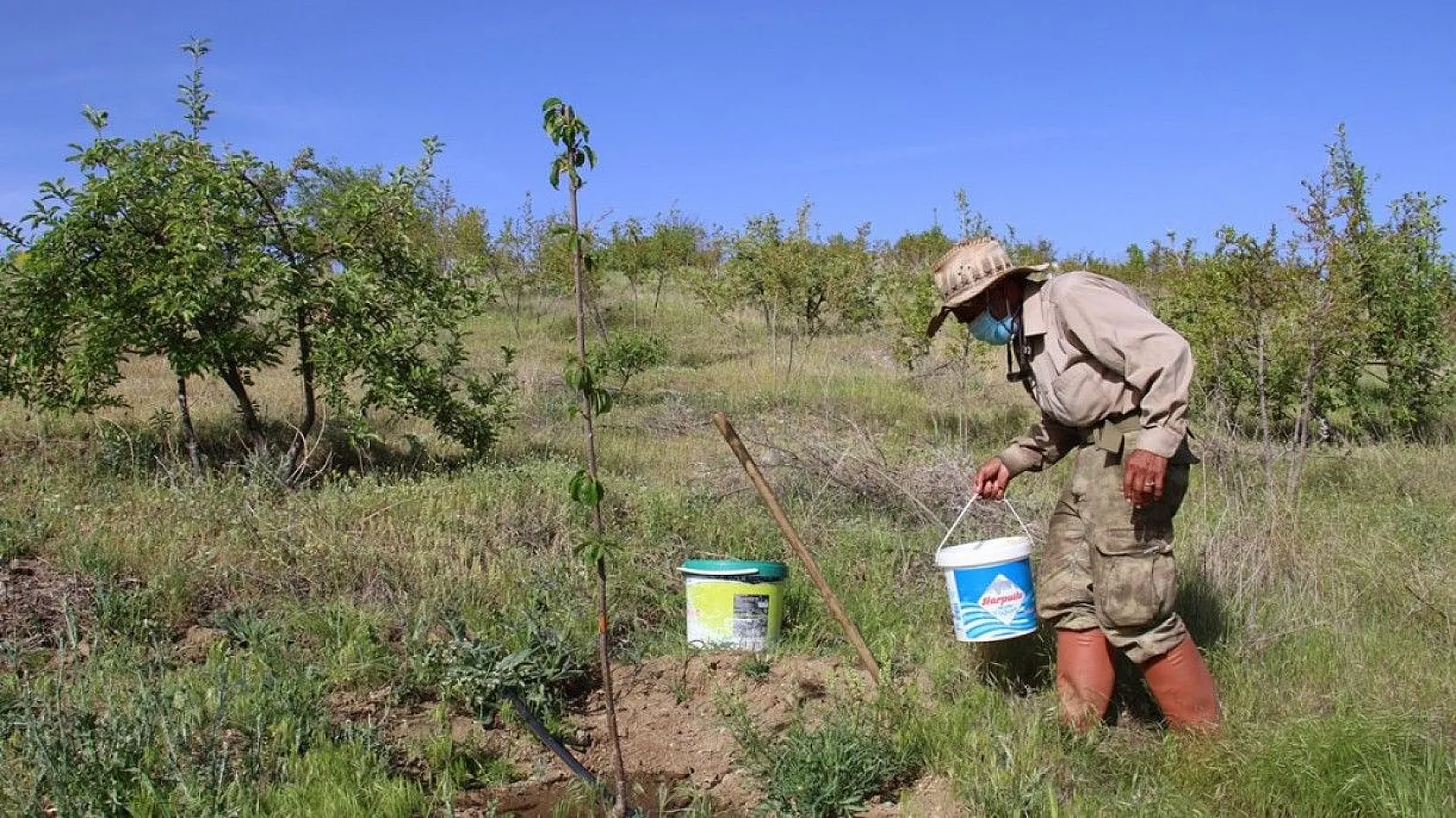 Robinson Ziya dedenin adası baharla birlikte yeşile büründü