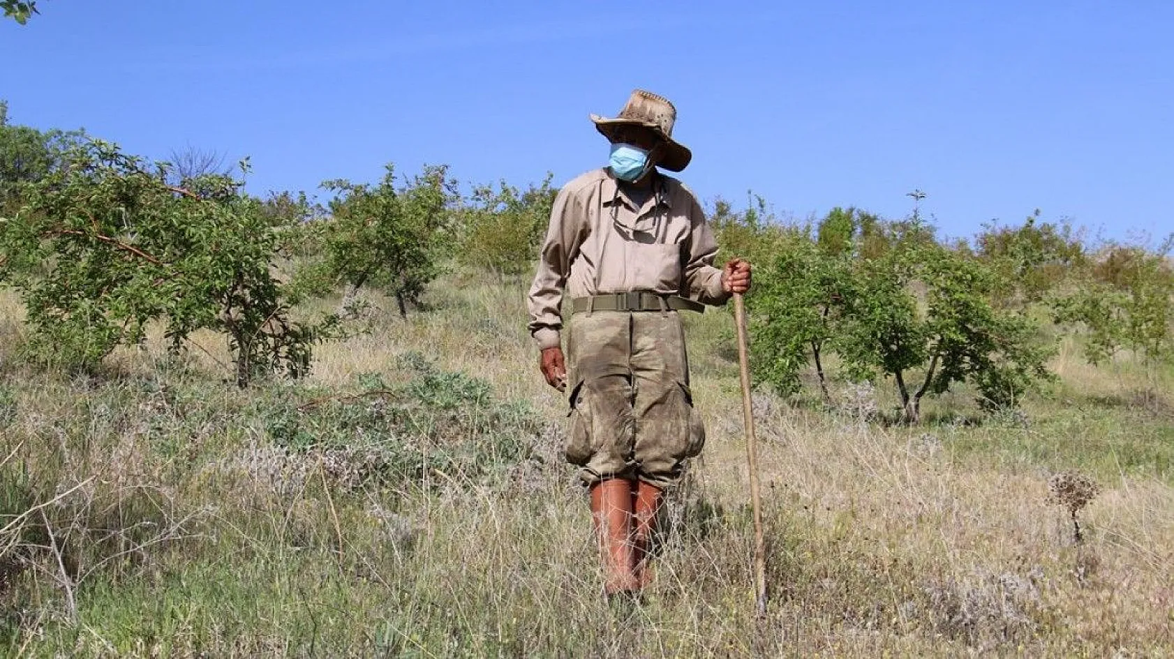 Robinson Ziya dedenin adası baharla birlikte yeşile büründü