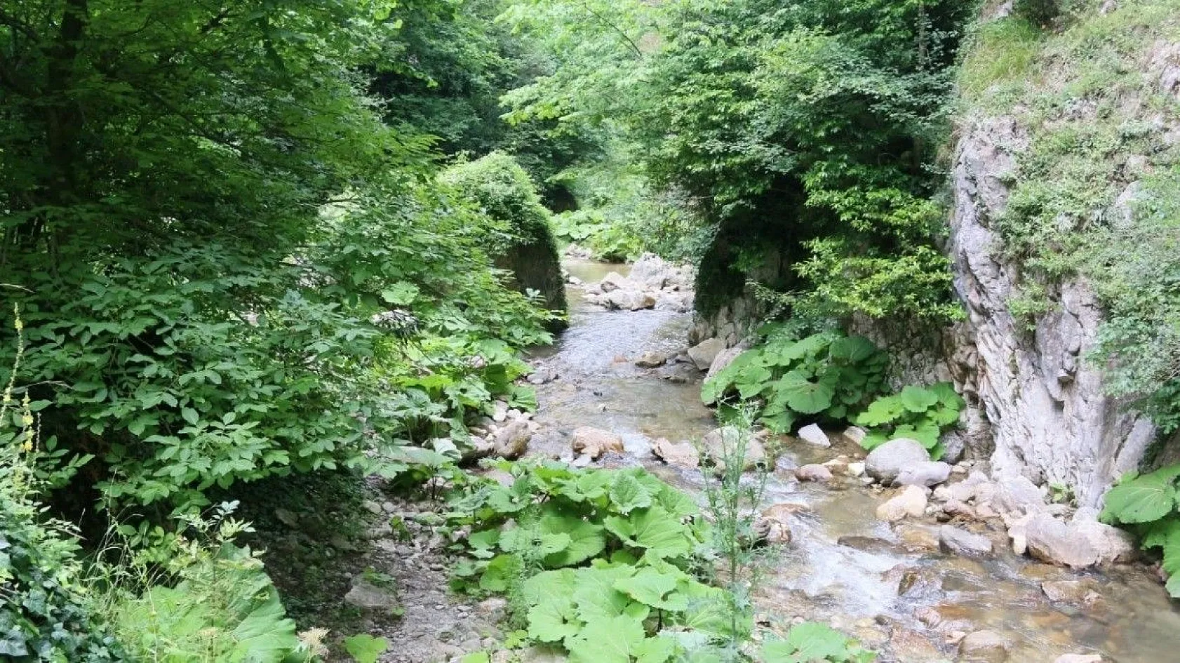Şelalelerin süslediği kanyon, güzellikleri ile büyülüyor