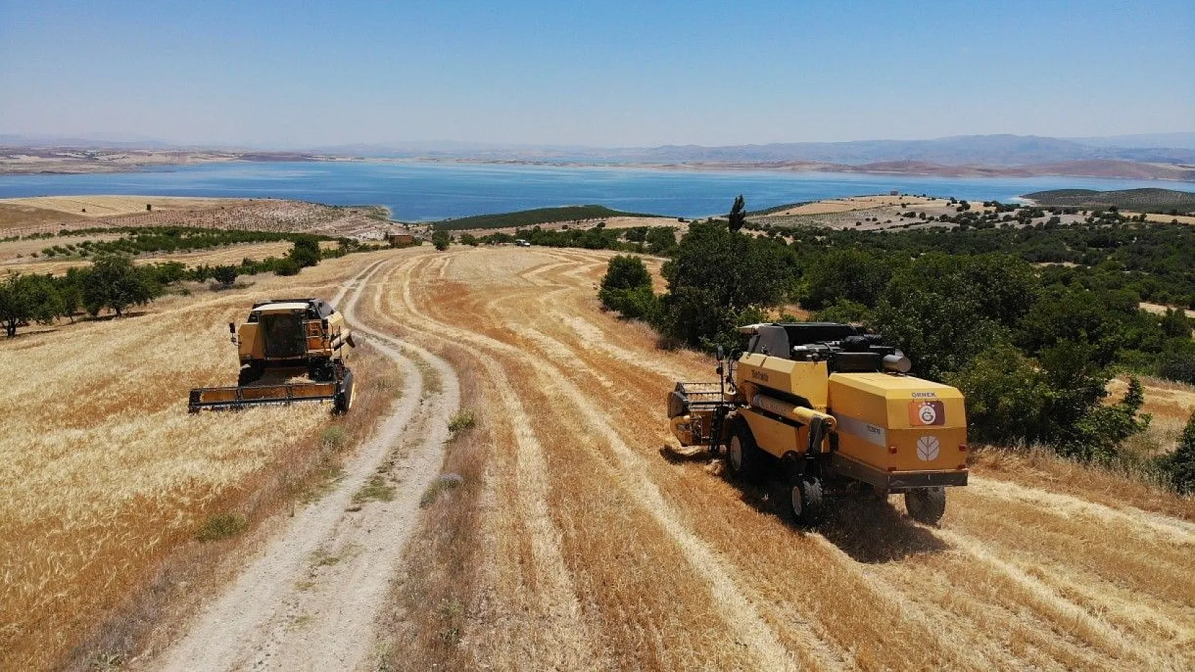 Toplam 600 dönüme arpa eken başkan, hasada başladı