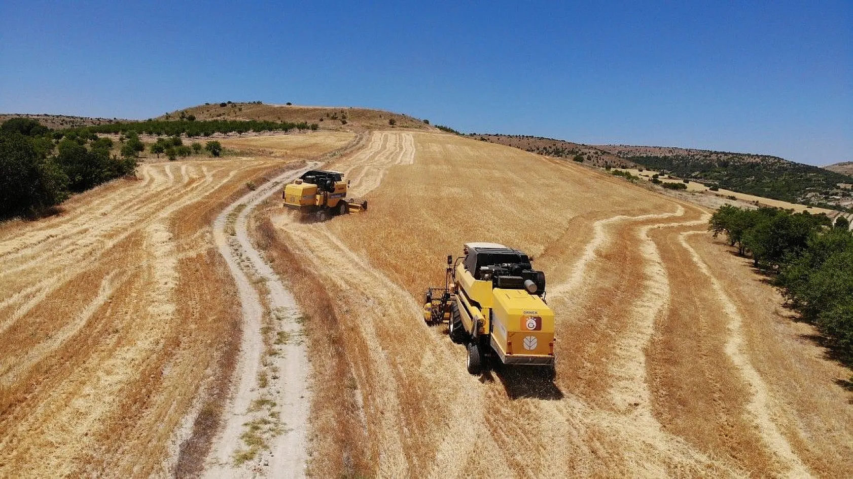 Toplam 600 dönüme arpa eken başkan, hasada başladı