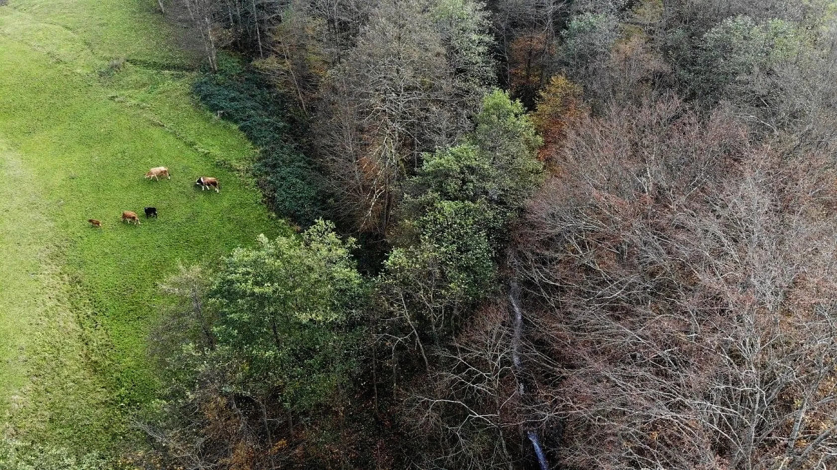 Trabzon'un saklı cenneti: Kudavas Şelalesi