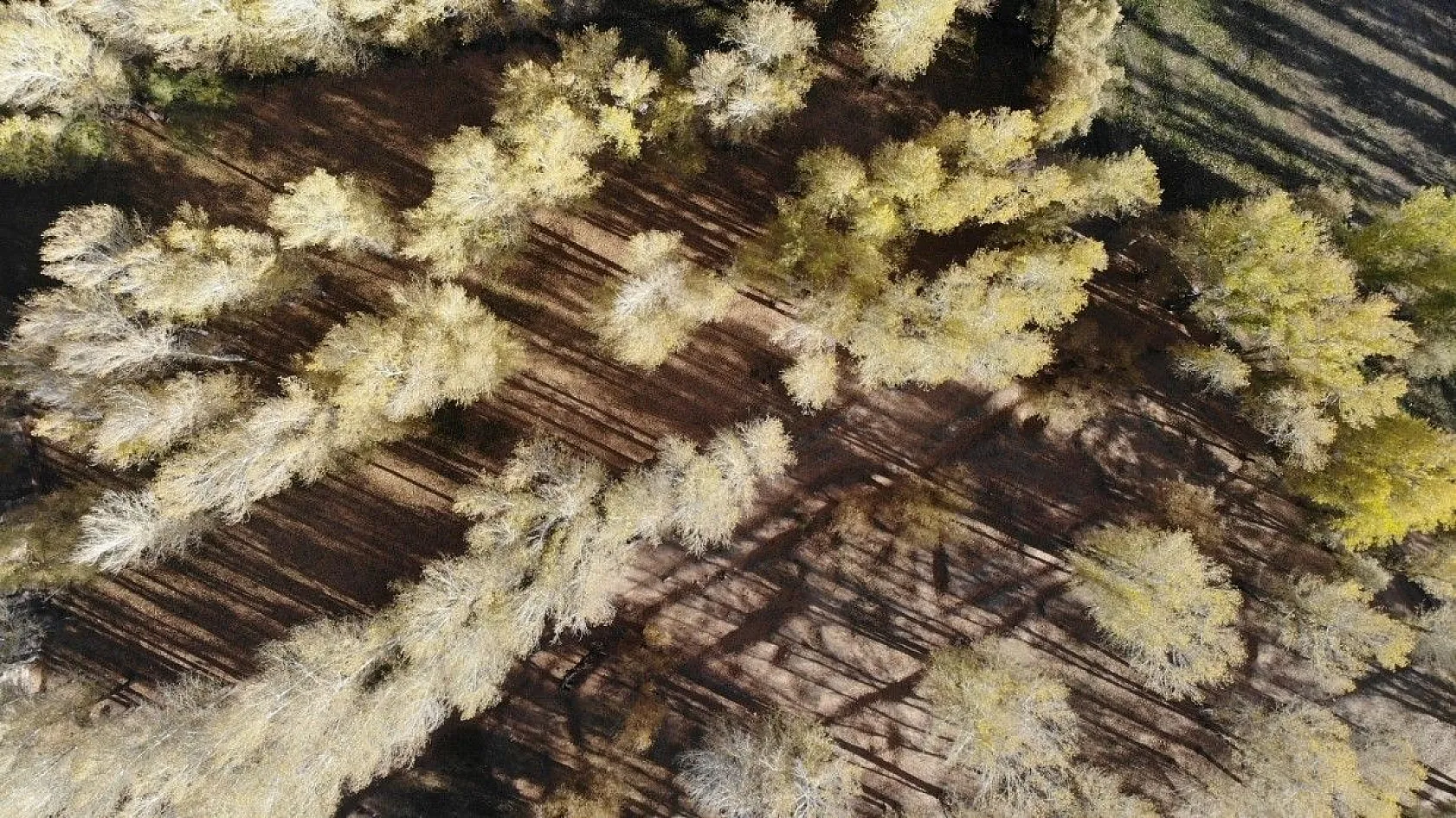 Van'da sonbahar güzelliği