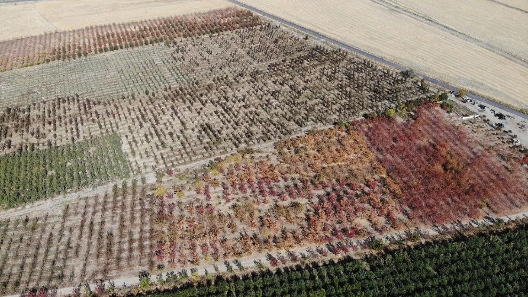 Van'da sonbahar güzelliği