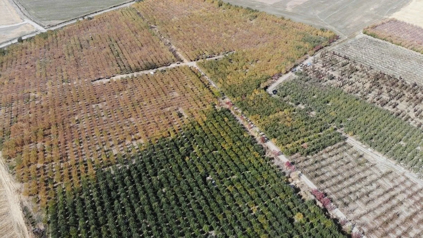 Van'da sonbahar güzelliği