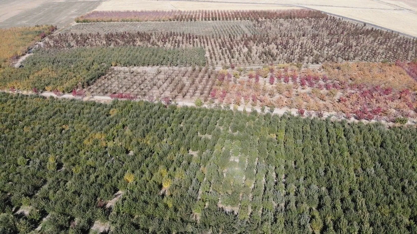 Van'da sonbahar güzelliği