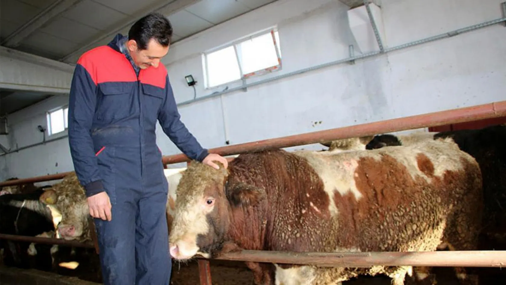 Şehir hayatından sıkıldı, Devlet desteğiyle çiftlik kurdu