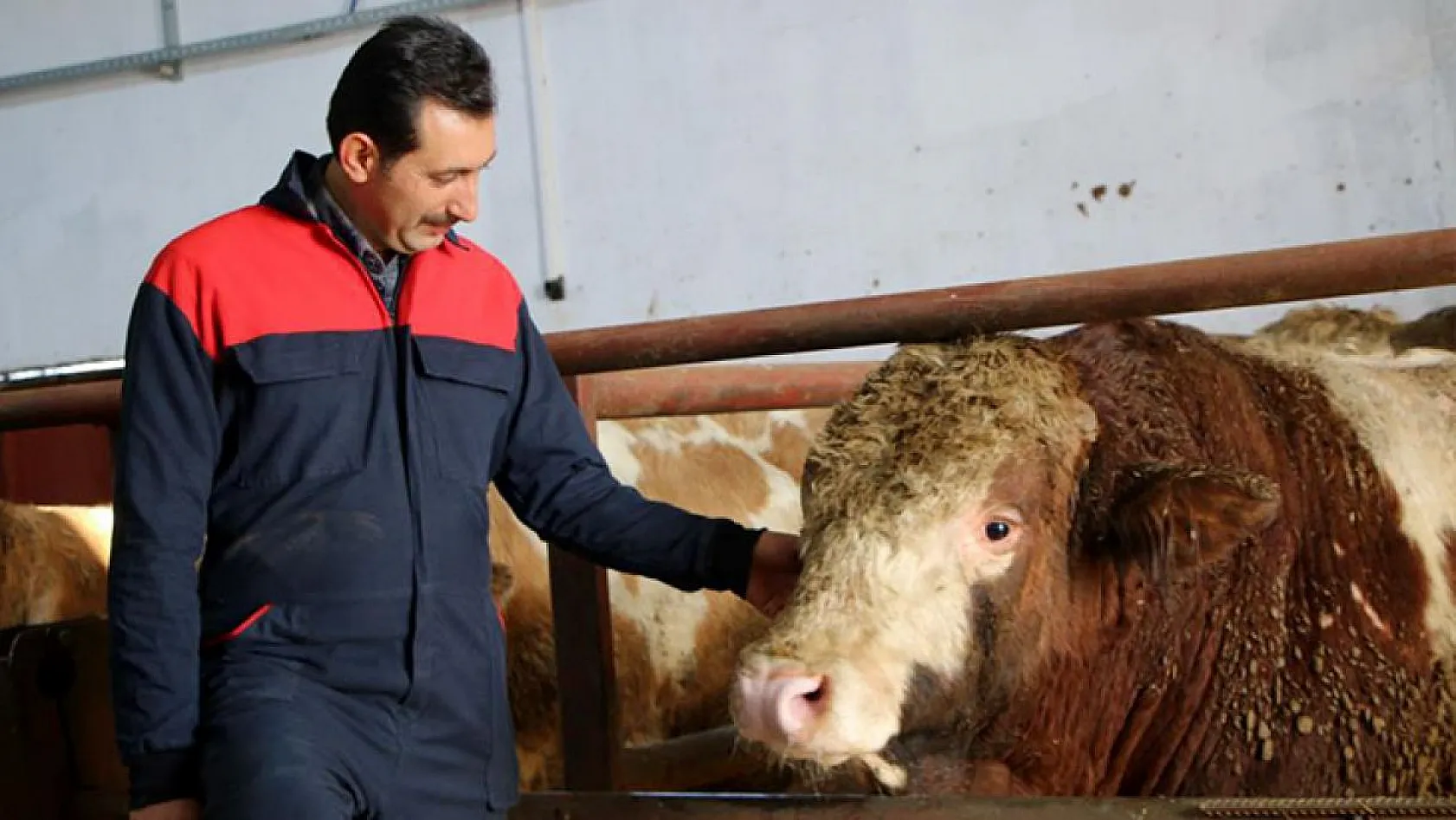 Şehir hayatından sıkıldı, Devlet desteğiyle çiftlik kurdu