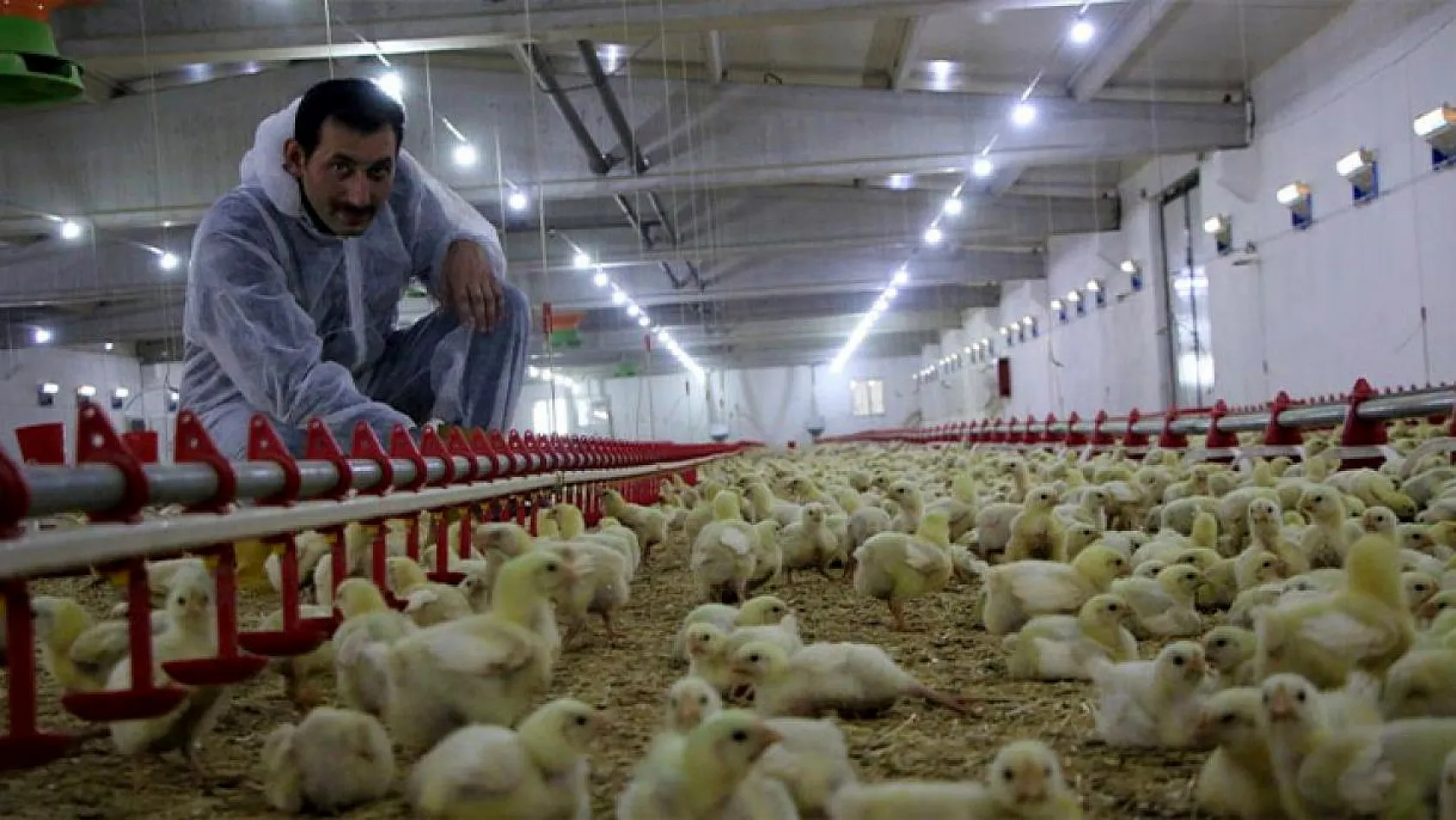 Şehir hayatından sıkıldı, Devlet desteğiyle çiftlik kurdu