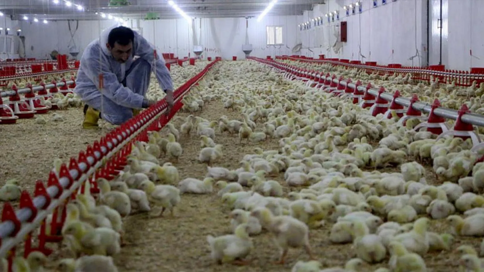 Şehir hayatından sıkıldı, Devlet desteğiyle çiftlik kurdu