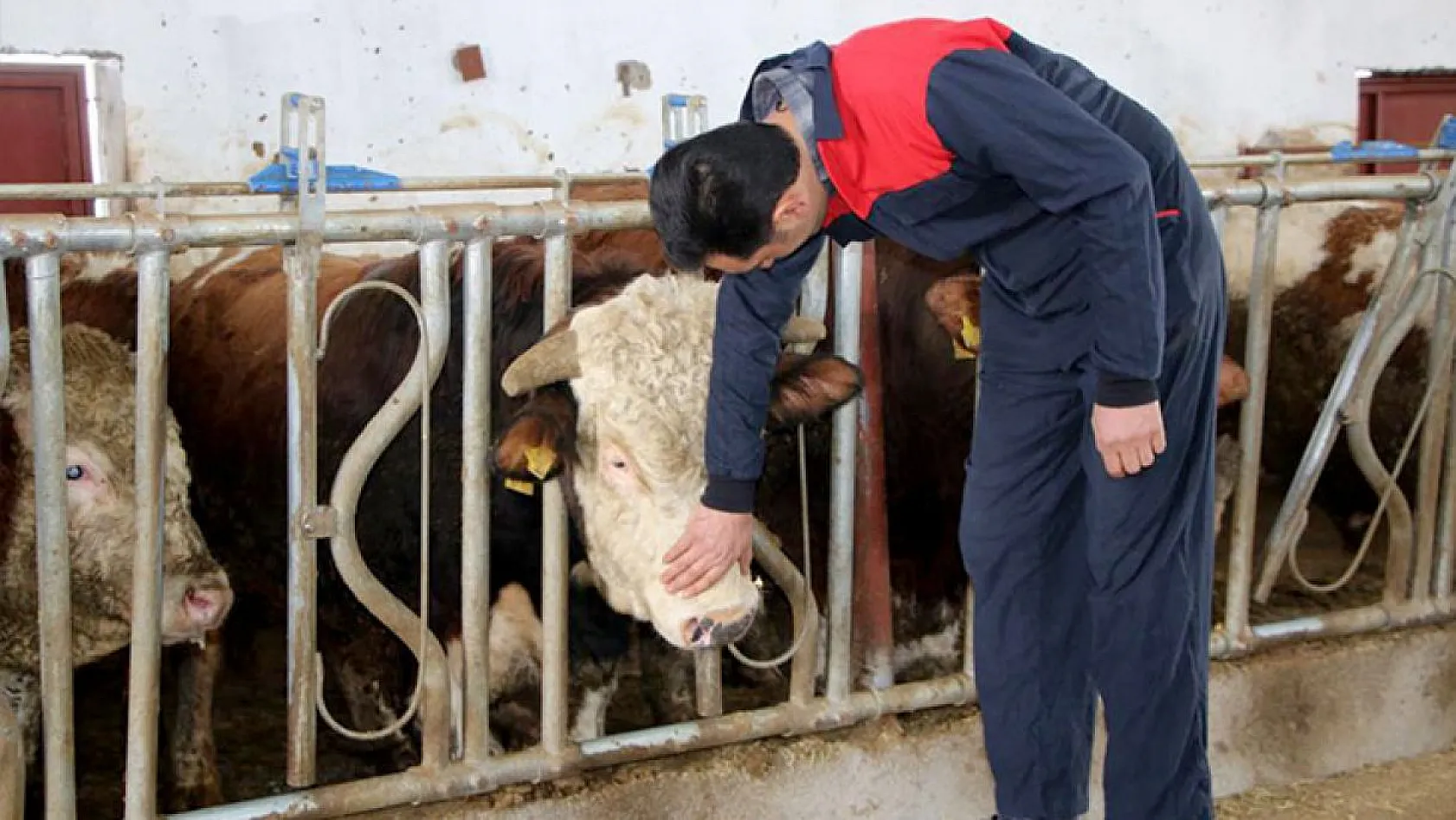Şehir hayatından sıkıldı, Devlet desteğiyle çiftlik kurdu