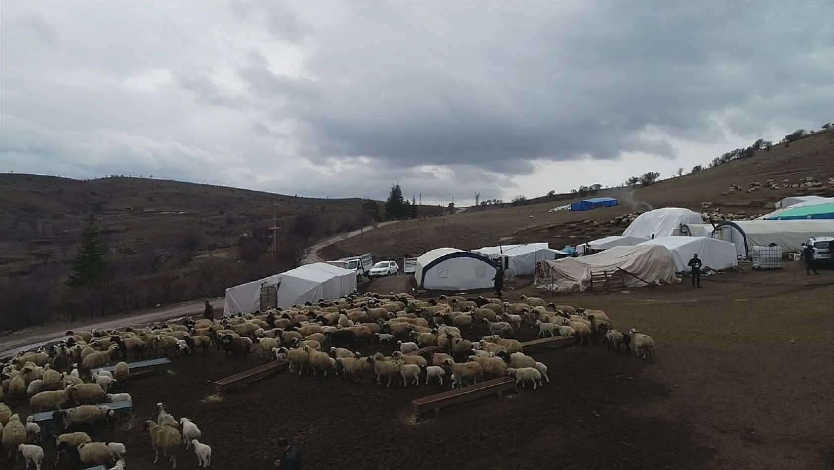 Sonbahar yağışları ile besicilerin yüzü güldü