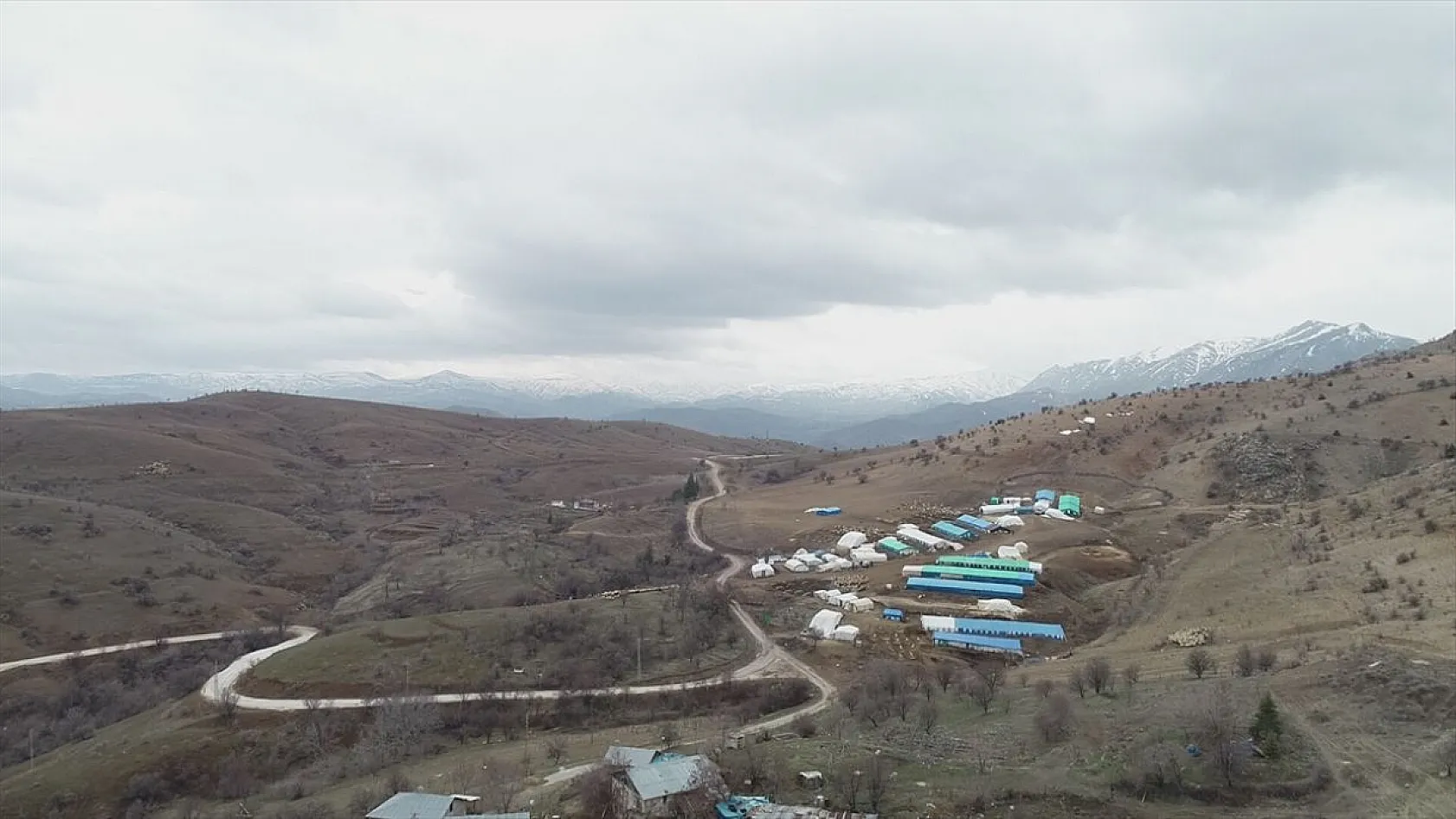 Sonbahar yağışları ile besicilerin yüzü güldü