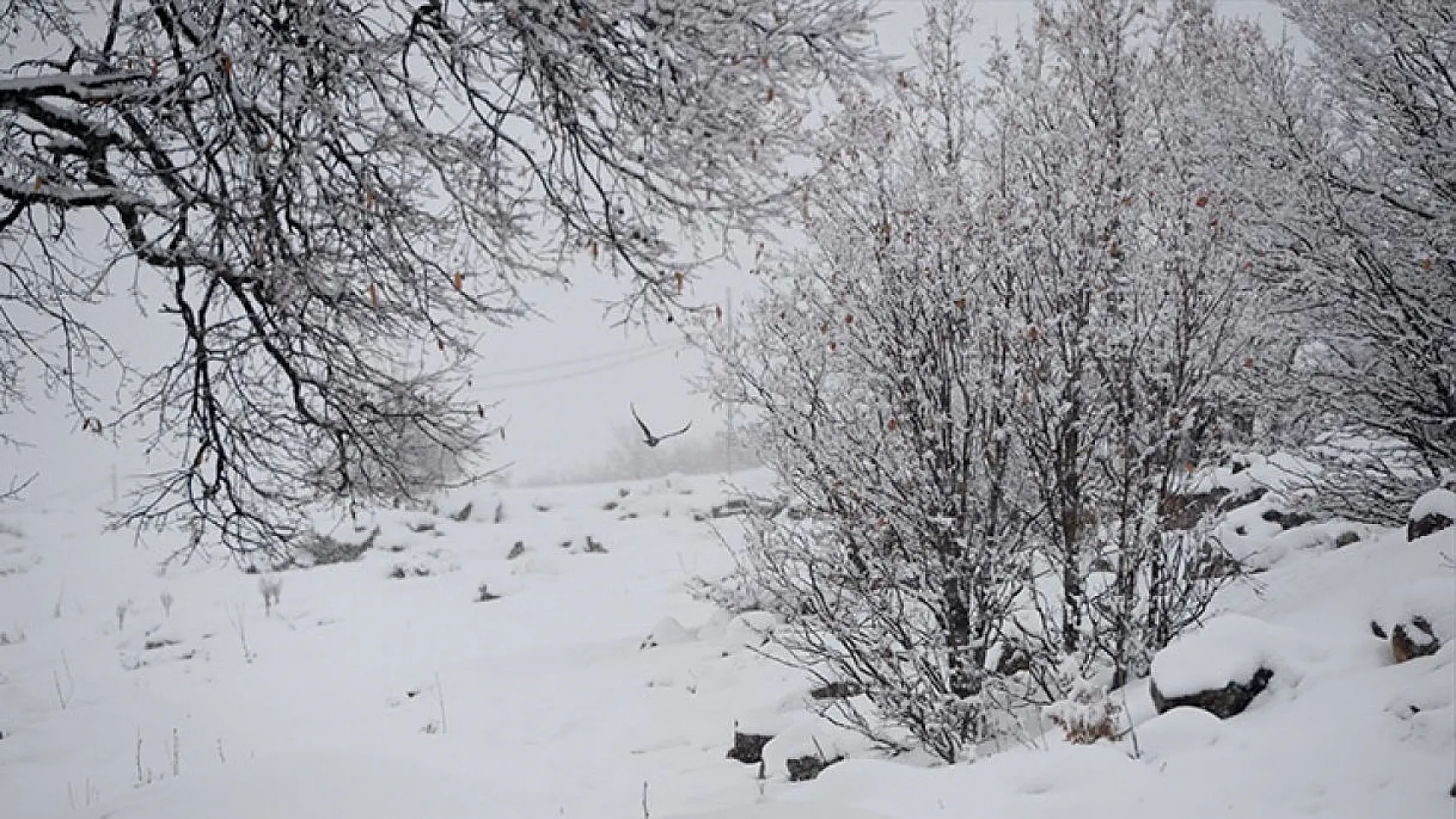 Yolçatı köyünden kar manzaraları