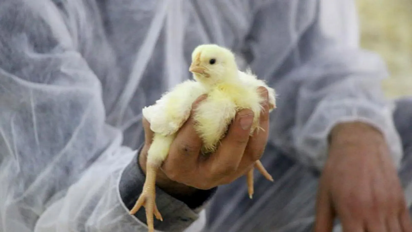 Şehir hayatından sıkıldı, Devlet desteğiyle çiftlik kurdu