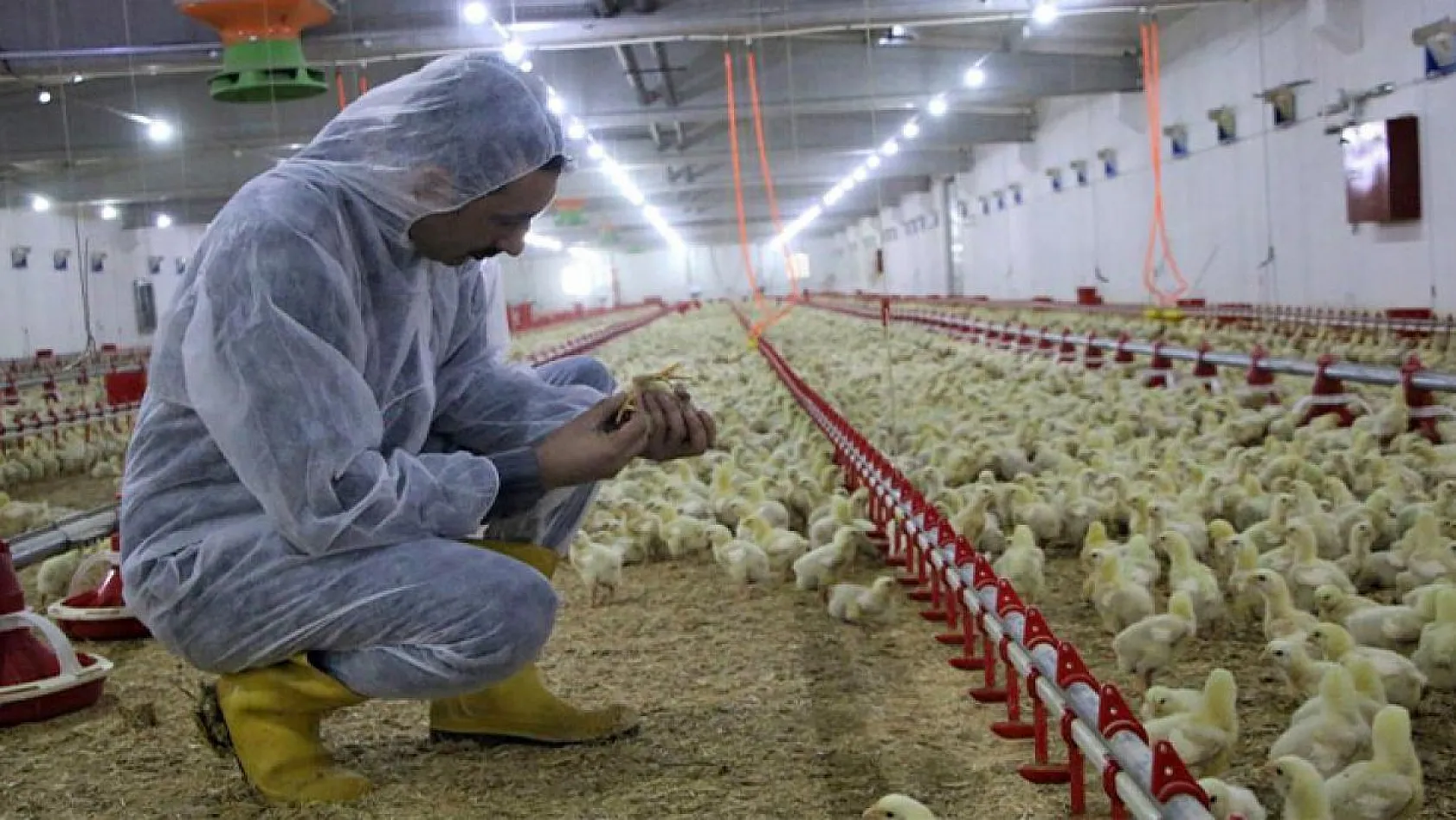 Şehir hayatından sıkıldı, Devlet desteğiyle çiftlik kurdu