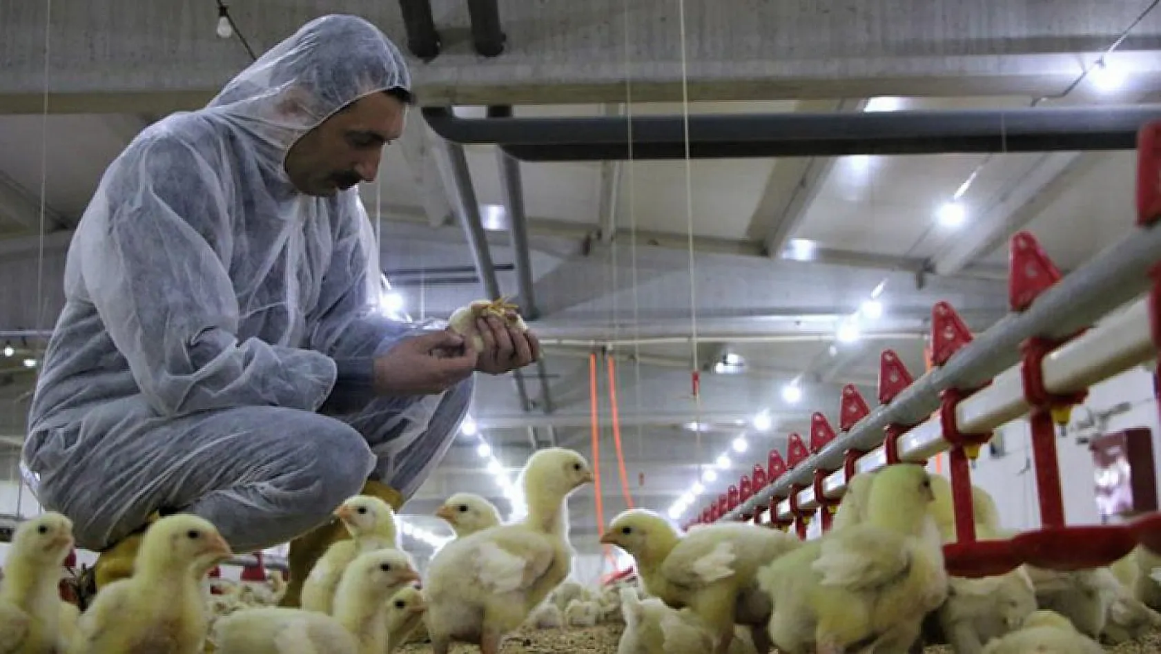 Şehir hayatından sıkıldı, Devlet desteğiyle çiftlik kurdu