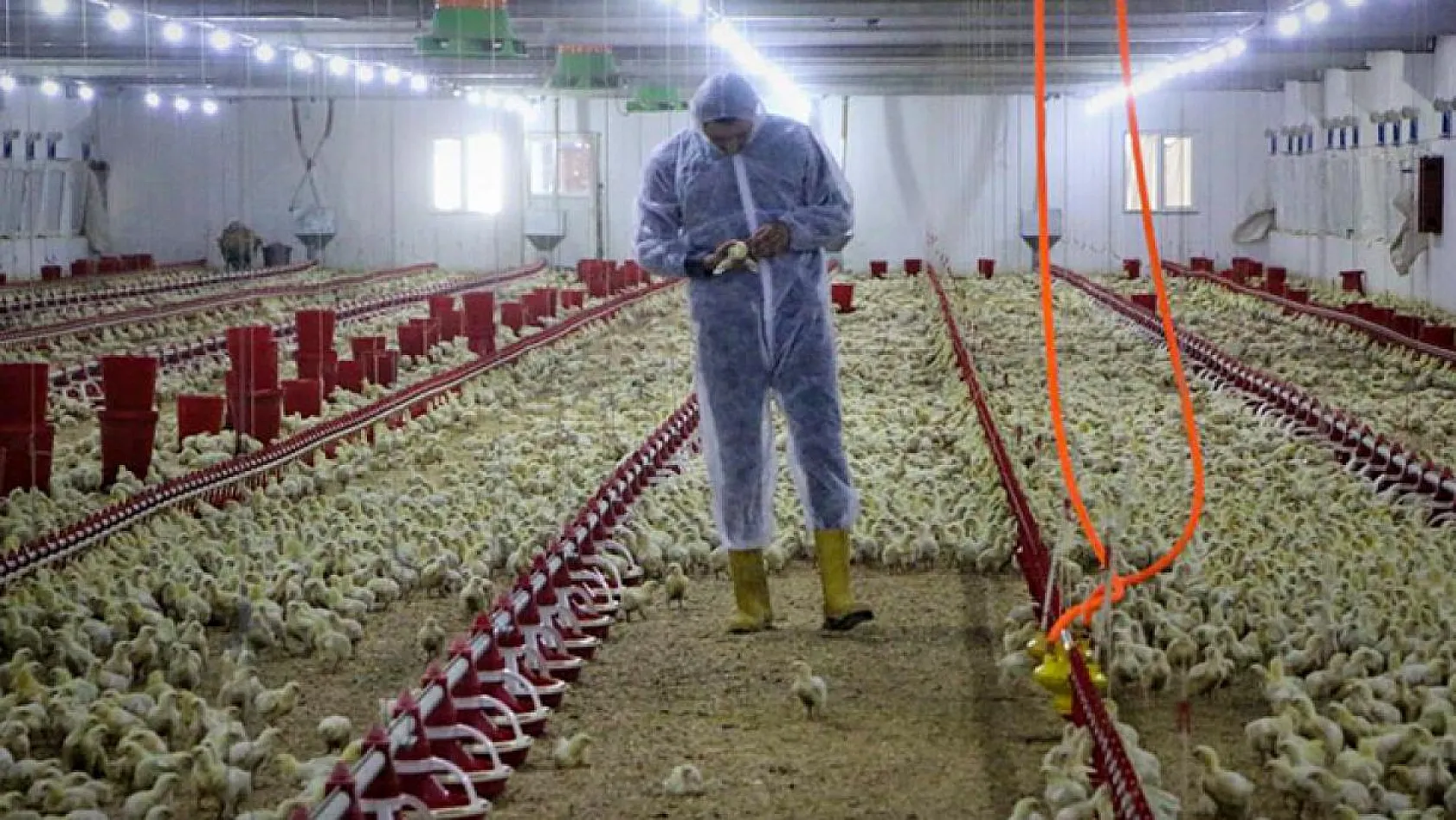 Şehir hayatından sıkıldı, Devlet desteğiyle çiftlik kurdu