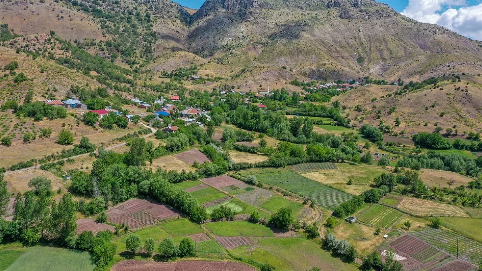 Osmanlı çileği tezgaha inmeden satılıyor
