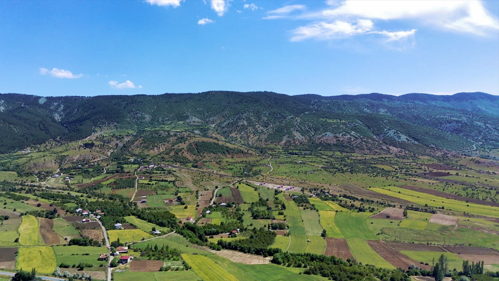 Elazığ'da ağaçlandırma çalışmaları sürüyor