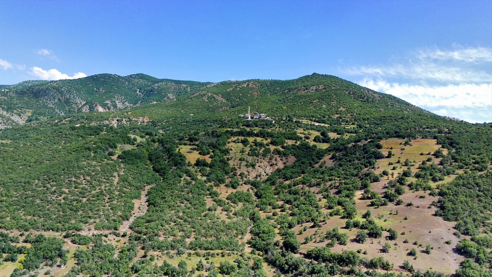 Elazığ'da ağaçlandırma çalışmaları sürüyor