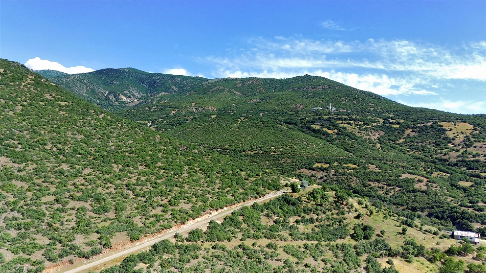 Elazığ'da ağaçlandırma çalışmaları sürüyor