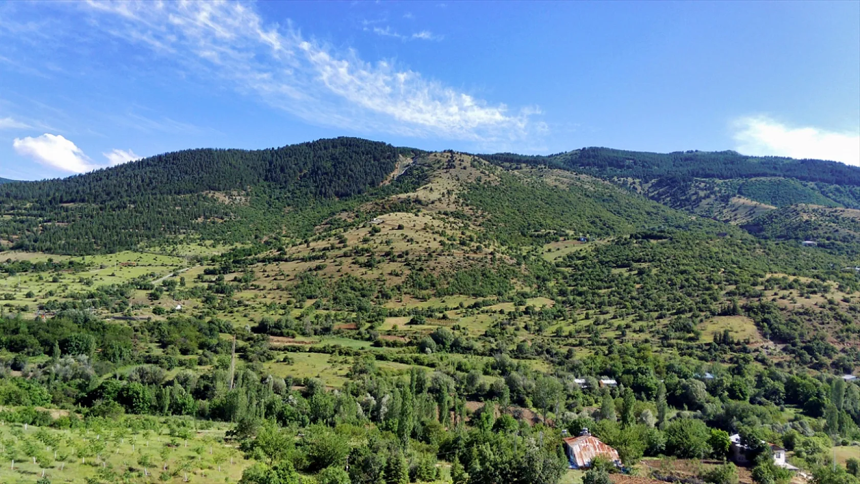 Elazığ'da ağaçlandırma çalışmaları sürüyor