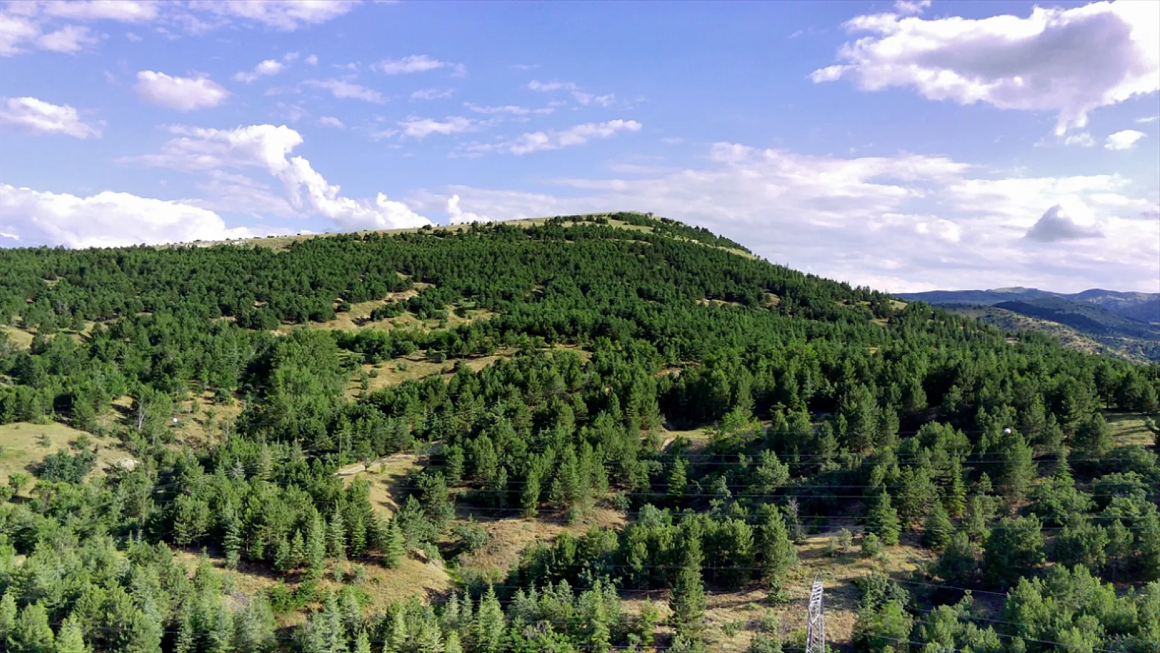 Elazığ'da ağaçlandırma çalışmaları sürüyor